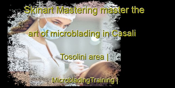 Skinart Mastering master the art of microblading in Casali Tosolini area | MicrobladingTraining | MicrobladingClasses | SkinartTraining-Italy